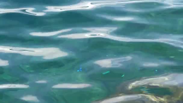 Pequenas ondas no mar calmo. A superfície do mar é muito lisa. Superfície de água clara azul. Filmagem De Stock