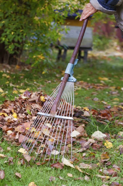 Mano con Rake — Foto Stock