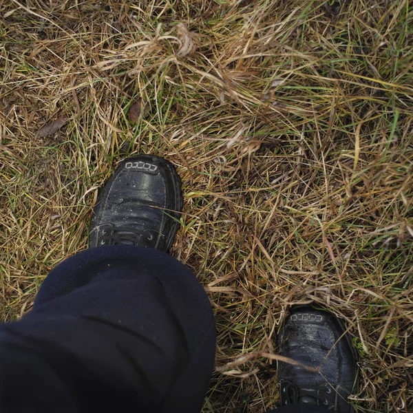 Feet In Shoes Walking