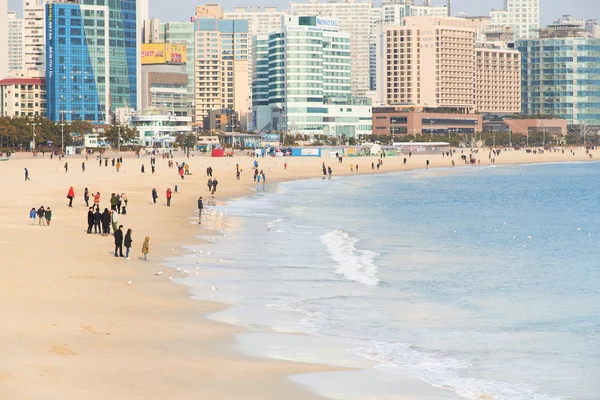 Haeundae pláž v noci — Stock fotografie