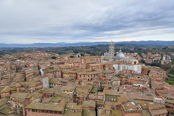 Siena Cathedral (Duomo di Siena) — Stock Photo, Image