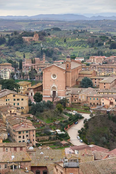 Basilica di San Francesco — Stok fotoğraf