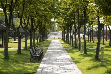 boş tezgah ve yol ağaçları ile