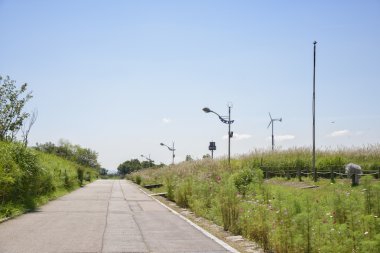 düz yolda bir gümüş çim sahası