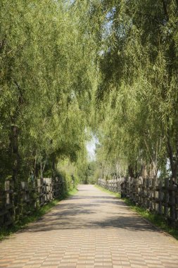 yolu ile Ahşap korkuluk