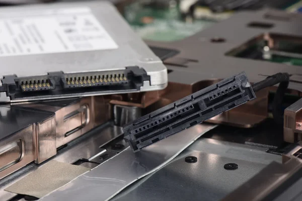 SSD ve dizüstü