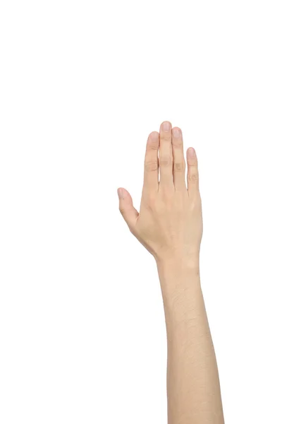 Beş parmak gösterilen el