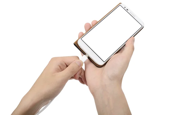 akıllı telefon durumda ve şarj kablosu