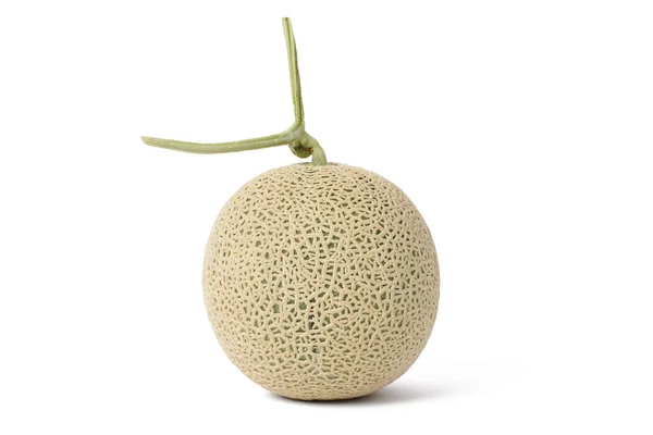 Zbliżenie świeży melon — Zdjęcie stockowe