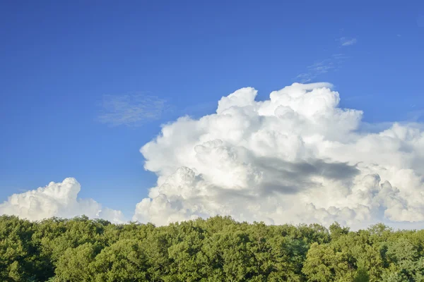 Dynamic cloudy sky — Stock Photo, Image