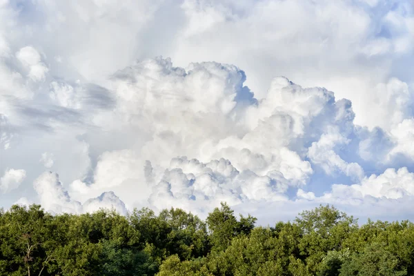 Ciel nuageux dynamique — Photo