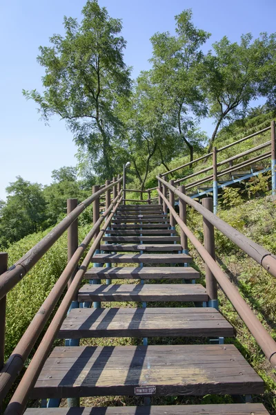 Wooden stairs — Stock Photo, Image