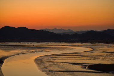 Sazlık alan Suncheon Bay Kore günbatımı
