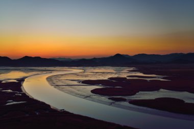 Sazlık alan Suncheon Bay Kore günbatımı