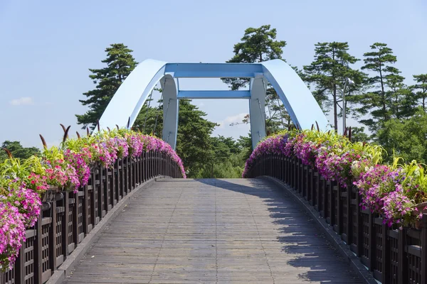 Puente con flores de petunia — Foto de Stock