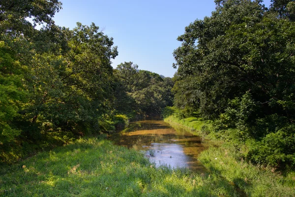 Arroyo forestal en Corea — Foto de Stock