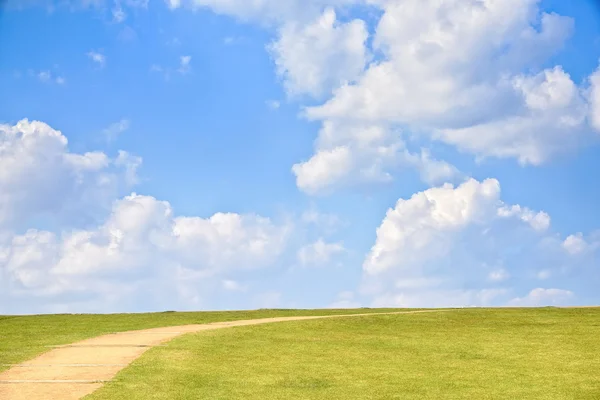 Зелений пагорб з блакитним небом — стокове фото