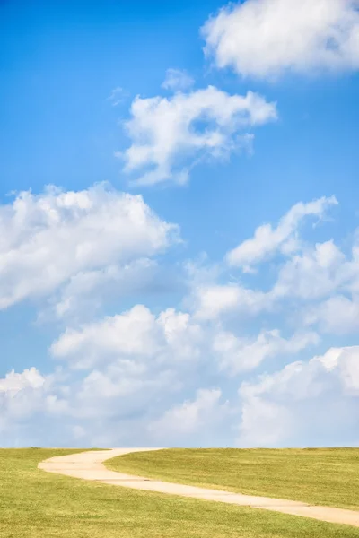 Зелений пагорб з блакитним небом — стокове фото