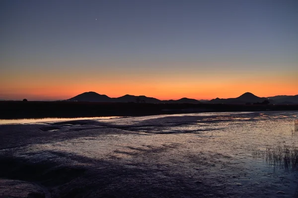 Campo Sunset of Reeds en Suncheon Bay en Corea —  Fotos de Stock