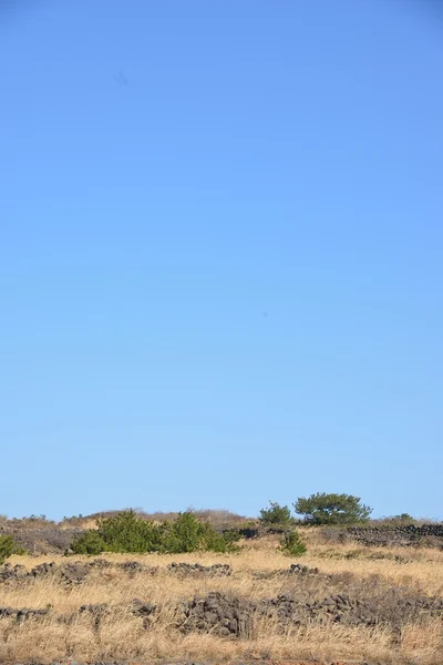 Güney Kore'de jeju Adası peyzaj — Stok fotoğraf