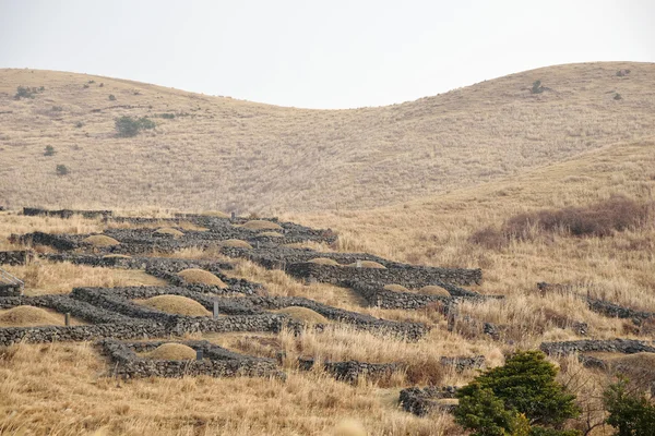 Генерал-могила, сделанная из базальта на острове Чэцзян, Корея — стоковое фото