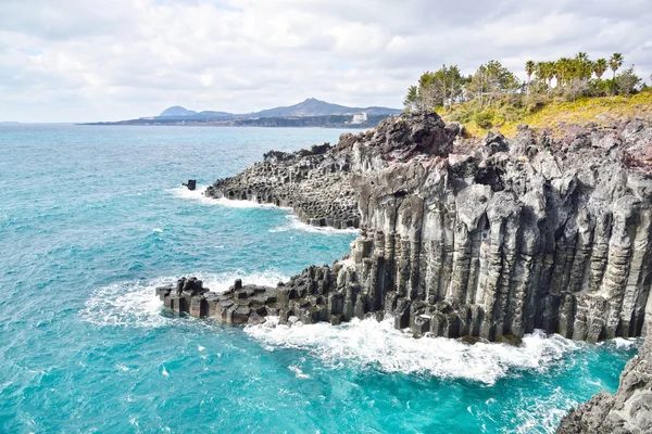 Basaltsäulenküste im Dschungel auf der Insel Jeju — Stockfoto