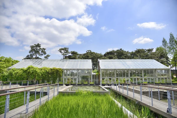 Glass green house Stock Image