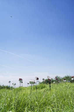 Seoul, Kore - 30 Ağustos 2014: Haneul görünüm park