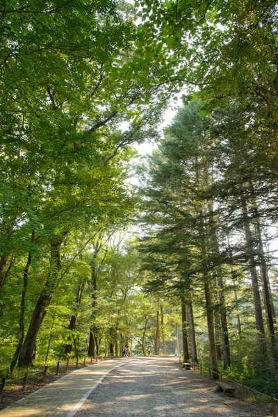 Pocheon, Korea - den 06 September, 2014: road i Korea National — Stockfoto