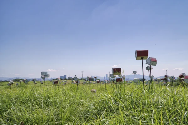 Seoul, Korea - 30. August 2014: Blick auf den Haneul Park — Stockfoto