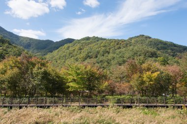 ahşap güverte yolu ile dağ arka plan