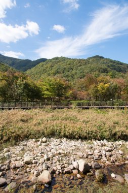 ahşap güverte yolu ile dağ arka plan