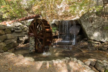 Dekoratif su çarkı 