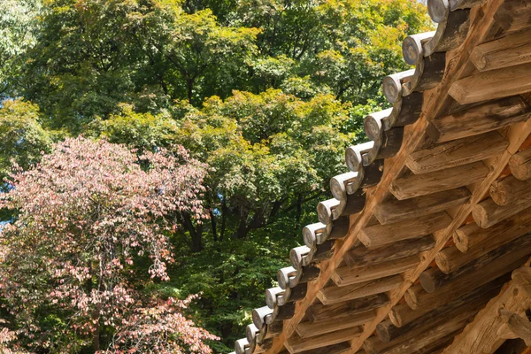 Unterseite koreanischer traditioneller Traufe — Stockfoto