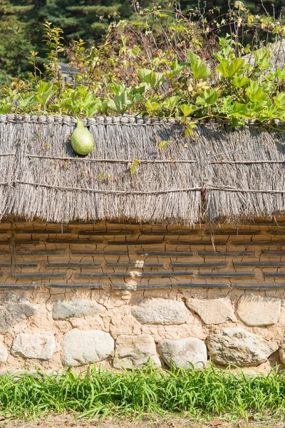 Fresh green squash on straw roof — Stock Photo, Image