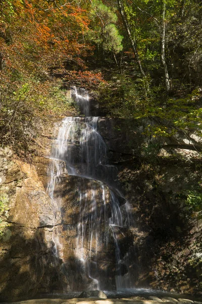 Cascadă în munte — Fotografie, imagine de stoc