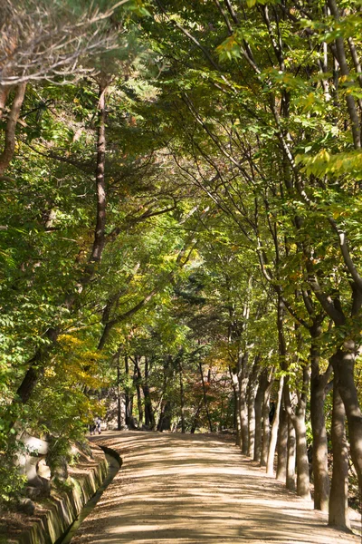 Path way in Mungyeongsaejae in Korea — Stock Photo, Image