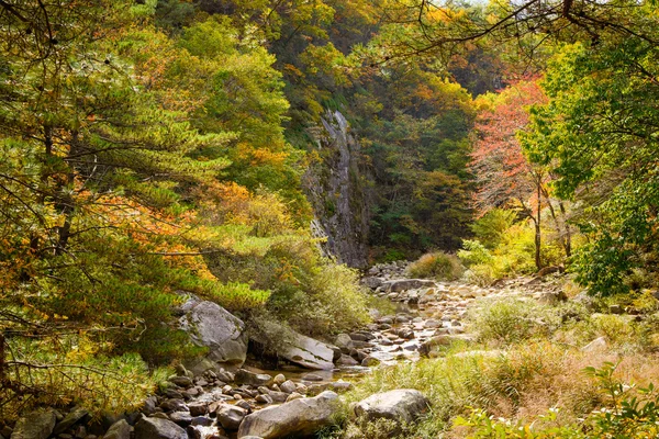 Blick auf Gebirgsbach mit Herbstfarben — Stockfoto