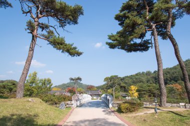 Yeongju, Kore - 15 Ekim 2014: Seonbichon, giriş