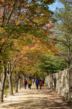 Mungyeong, Kore - 14 Ekim 2014: mungyeongsaejae pas görünümünü