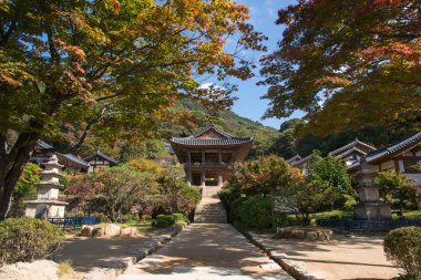 Yeongju, Kore - 15 Ekim 2014: Buseoksa tapınak Beomjongru