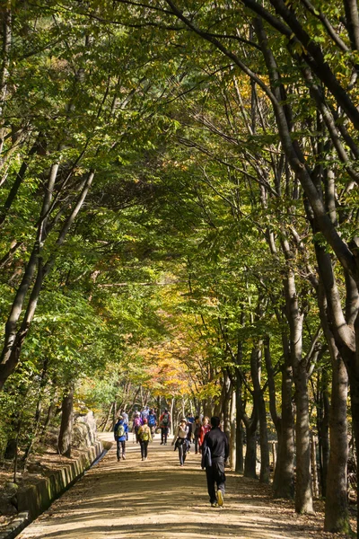 MUNGYEONG, CORÉE - 14 OCTOBRE 2014 : vue sur mungyeongsaejae pas — Photo