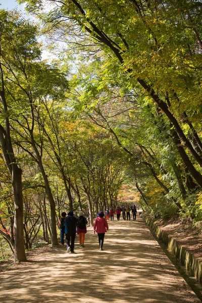 MUNGYEONG, CORÉE - 14 OCTOBRE 2014 : vue sur mungyeongsaejae pas — Photo