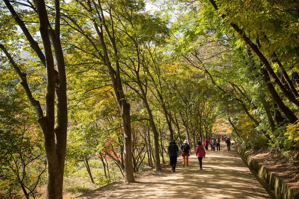 MUNGYEONG, CORÉE - 14 OCTOBRE 2014 : vue sur mungyeongsaejae pas — Photo