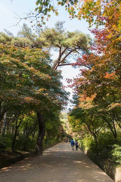 MUNGYEONG, KOREA - OCTOBER 14, 2014: view of mungyeongsaejae pas pas — Stok Foto