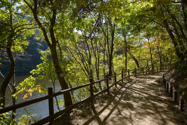 Chemin avec rampe en bois à Jusanji — Photo