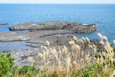 Gyeongju Yangnam sütunlu hapiste