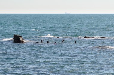 Gyeongju, Kore - 19 Ekim 2014: Haenyeo denilen kadın dalgıçlar