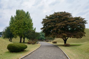 Gyeongju, Kore - 20 Ekim 2014: Daereungwon görünümünü