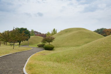 Gyeongju, Kore - 20 Ekim 2014: Daereungwon antik mezarlar
